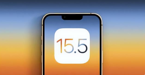 久治苹果手机维修分享iOS15.5 RC版升级建议 